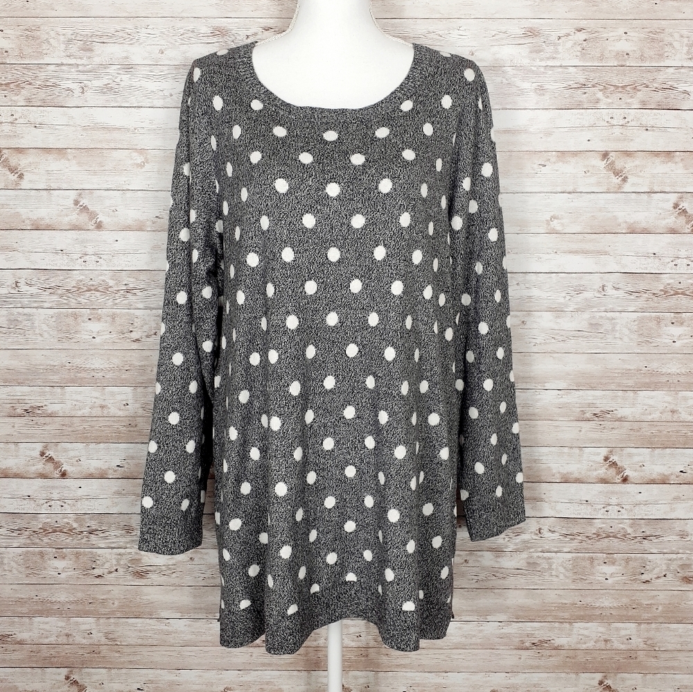 Charter Club Long Sleeved Sweater 163